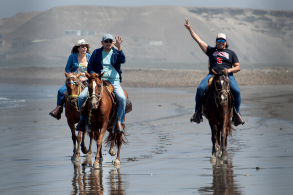 Cabalgata caballo peruano de paso