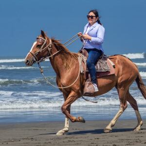 Cabalgata caballo peruano de paso